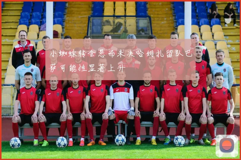小蜘蛛转会悬而未决哈姆扎留队巴萨可能性显著上升