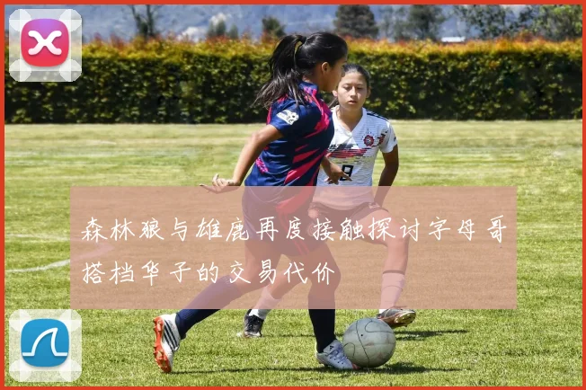 森林狼与雄鹿再度接触探讨字母哥搭档华子的交易代价